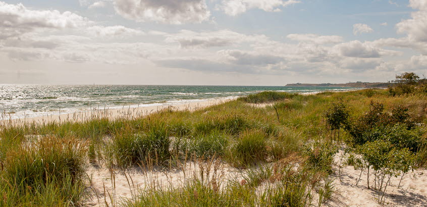 Sandhammaren, Ystad kommun