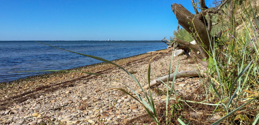 Strandlinje med vatten mot en klarblå himmel.