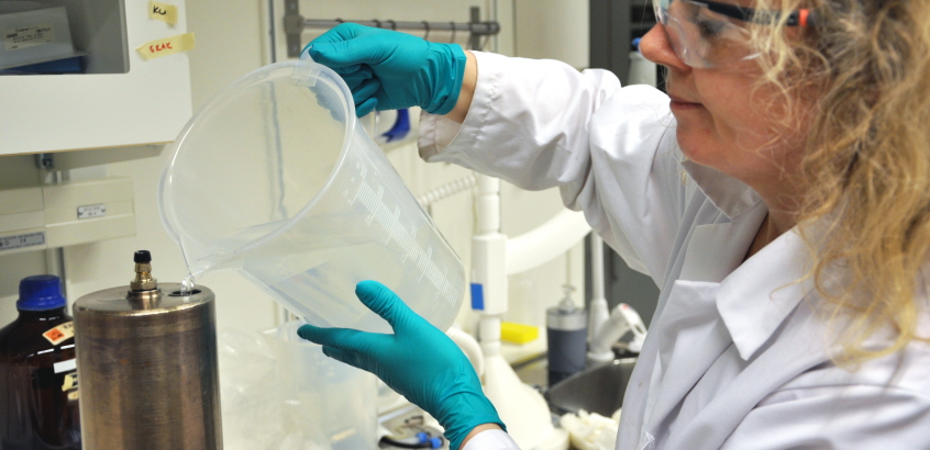 Kvinna i laboratorierock och handskar häller vatten från en tillbringare ner i en behållare som tillhör laktestförsöket.