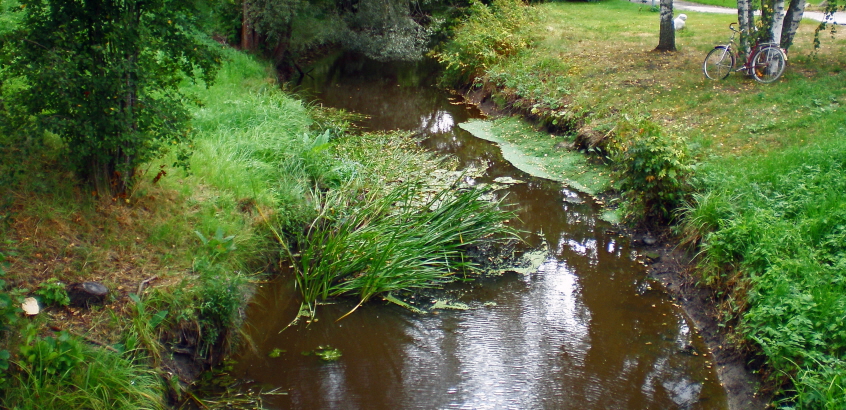 Erosion och spår av översvämning utmed Arnebobäcken, Heby, Uppsala län. Förstudie MSB, 2016.
Använd i samband med nyhet om MSB-uppdrag 2016.