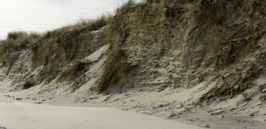 Erosion vid Sandhammaren, Skånes kust.