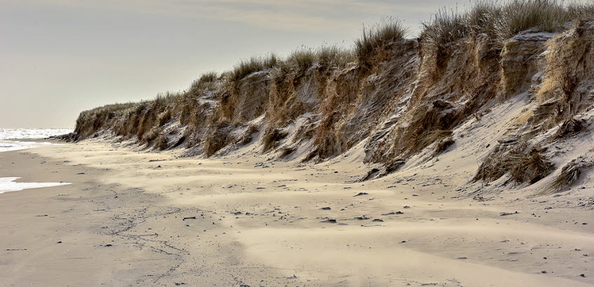 Erosion vid Sandhammaren, Skånes kust.