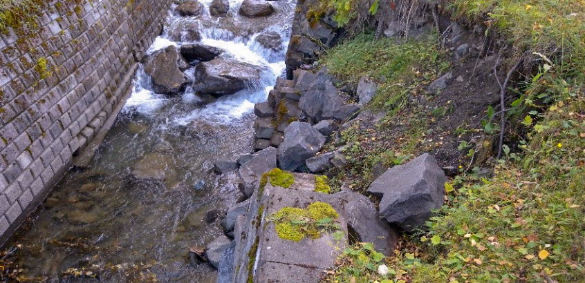 Ras i en kant vid en kanal.