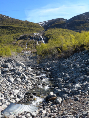 Kraftig erosion längs bäckfåra i samband med slamström vid Ritsemvägen, Gällivare kommun, 2010.