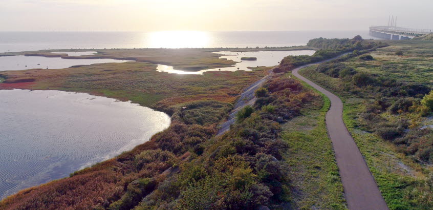 Bild ovanifrån med vy över hav, strandängar och till höger en lång bro.