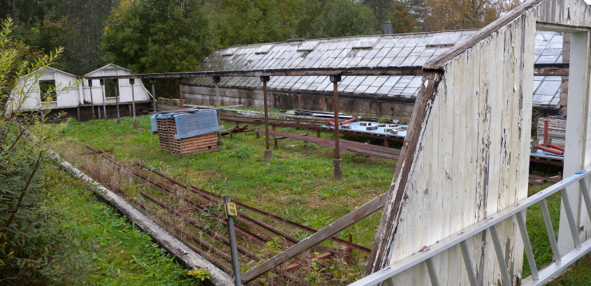 En plantskola i Värmland.